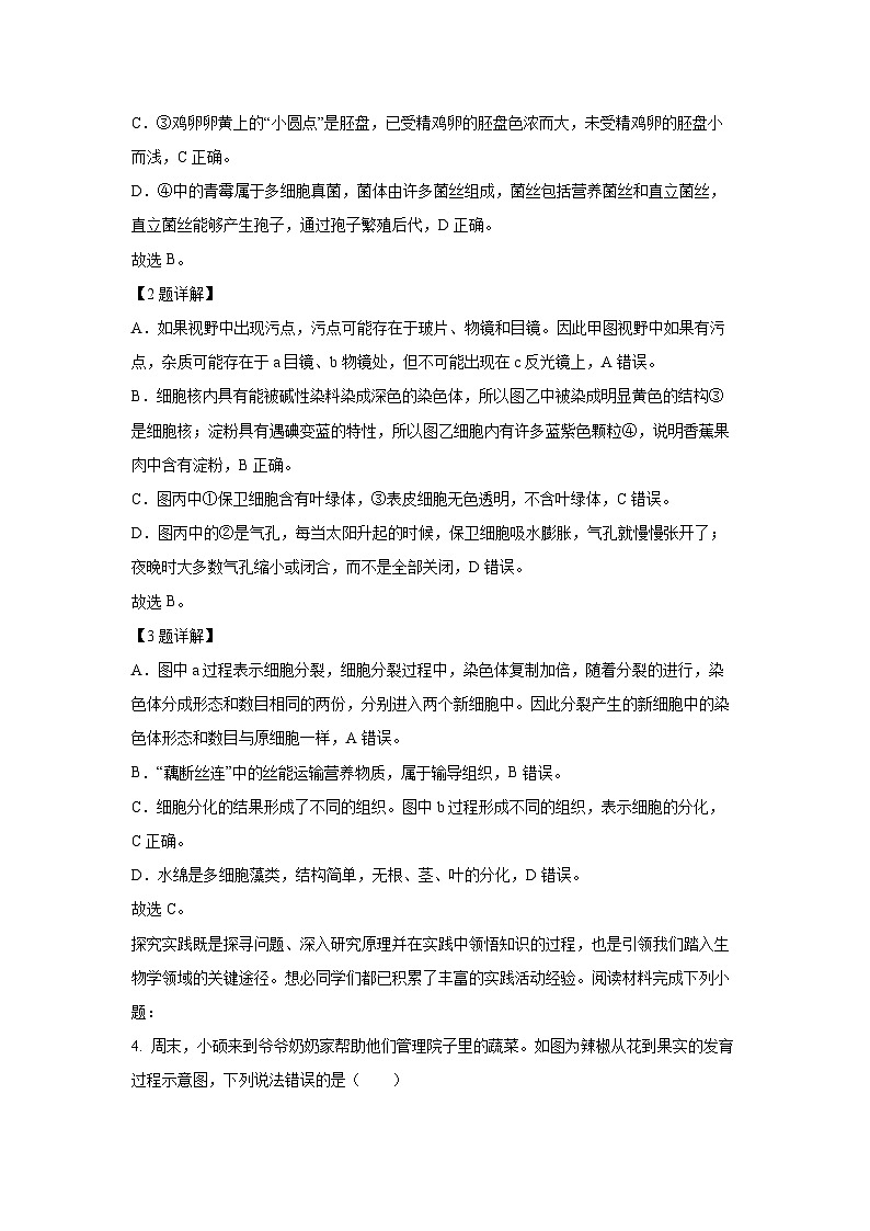 2025年山东省临沂市河东区中考二模生物试题（解析版）第3页
