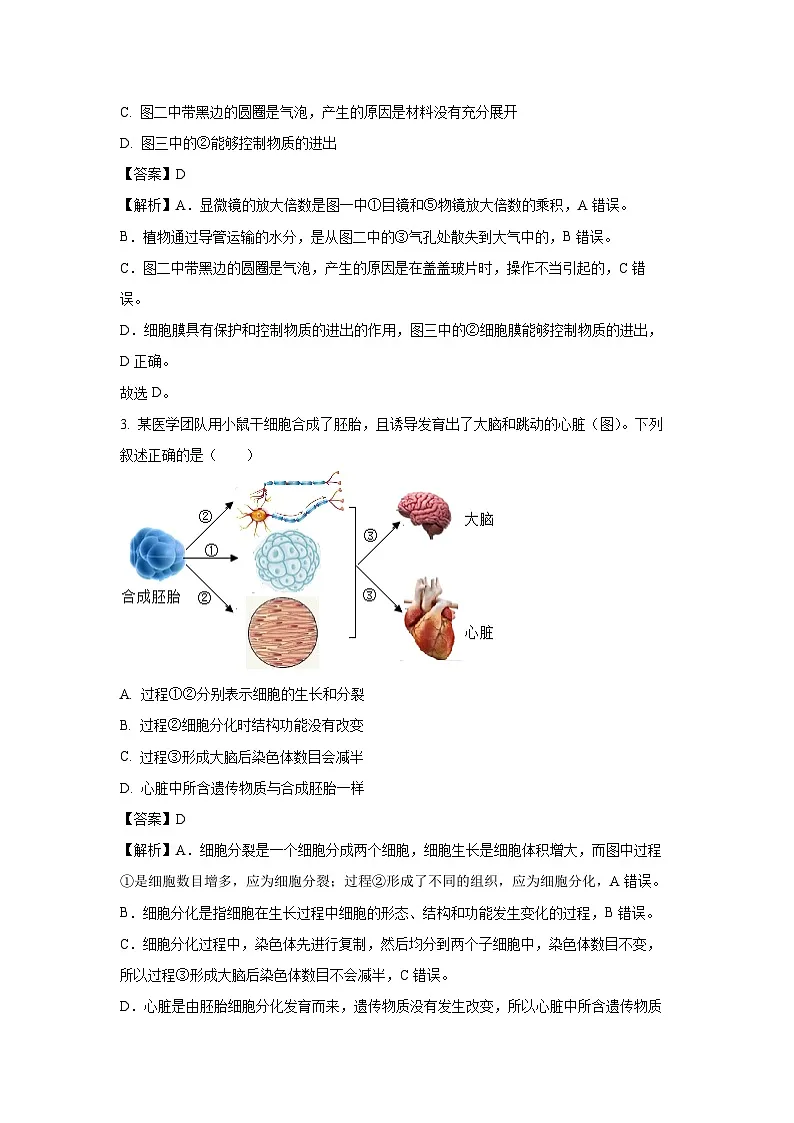 2025年山东省临沂市沂河新区八年级中考二模B卷生物试题（解析版）第2页