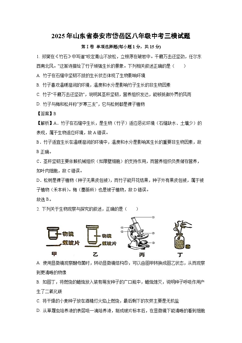 2025年山东省泰安市岱岳区八年级中考三模生物试题（解析版）第1页