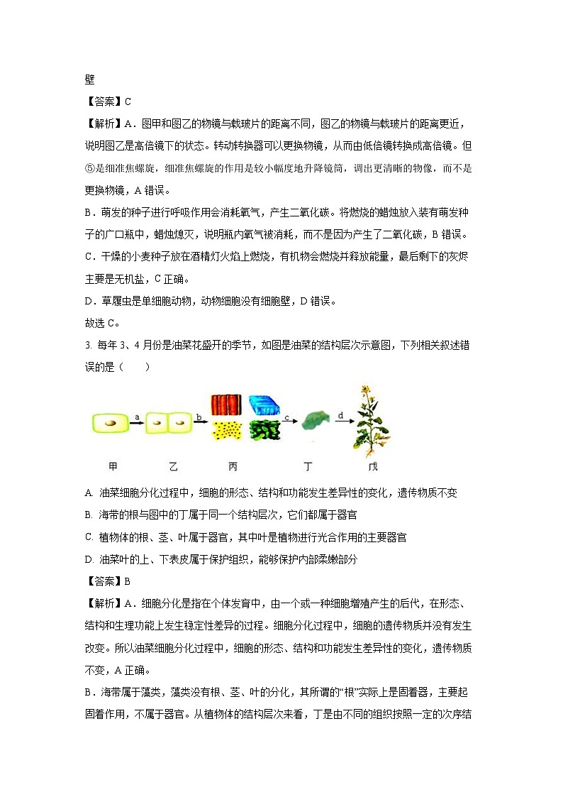 2025年山东省泰安市岱岳区八年级中考三模生物试题（解析版）第2页