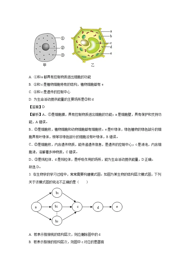 2025年山东省淄博市博山区中考三模生物试题（解析版）第2页
