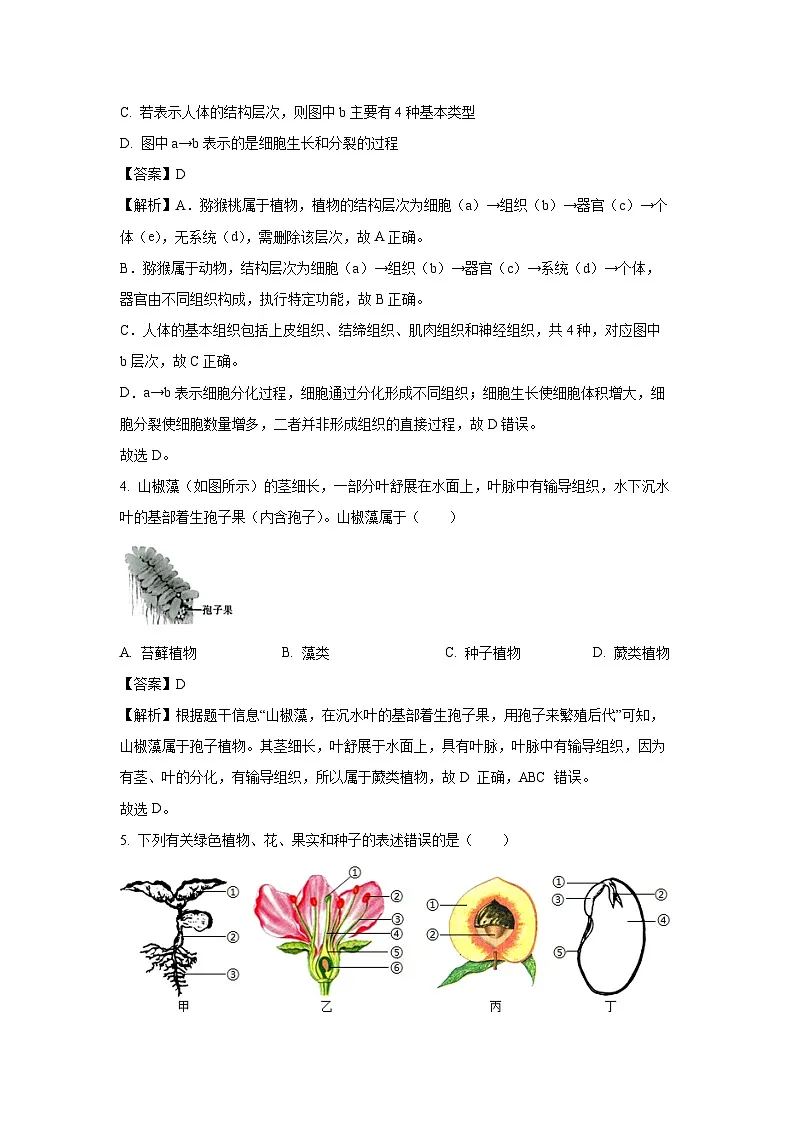 2025年山东省淄博市博山区中考三模生物试题（解析版）第3页