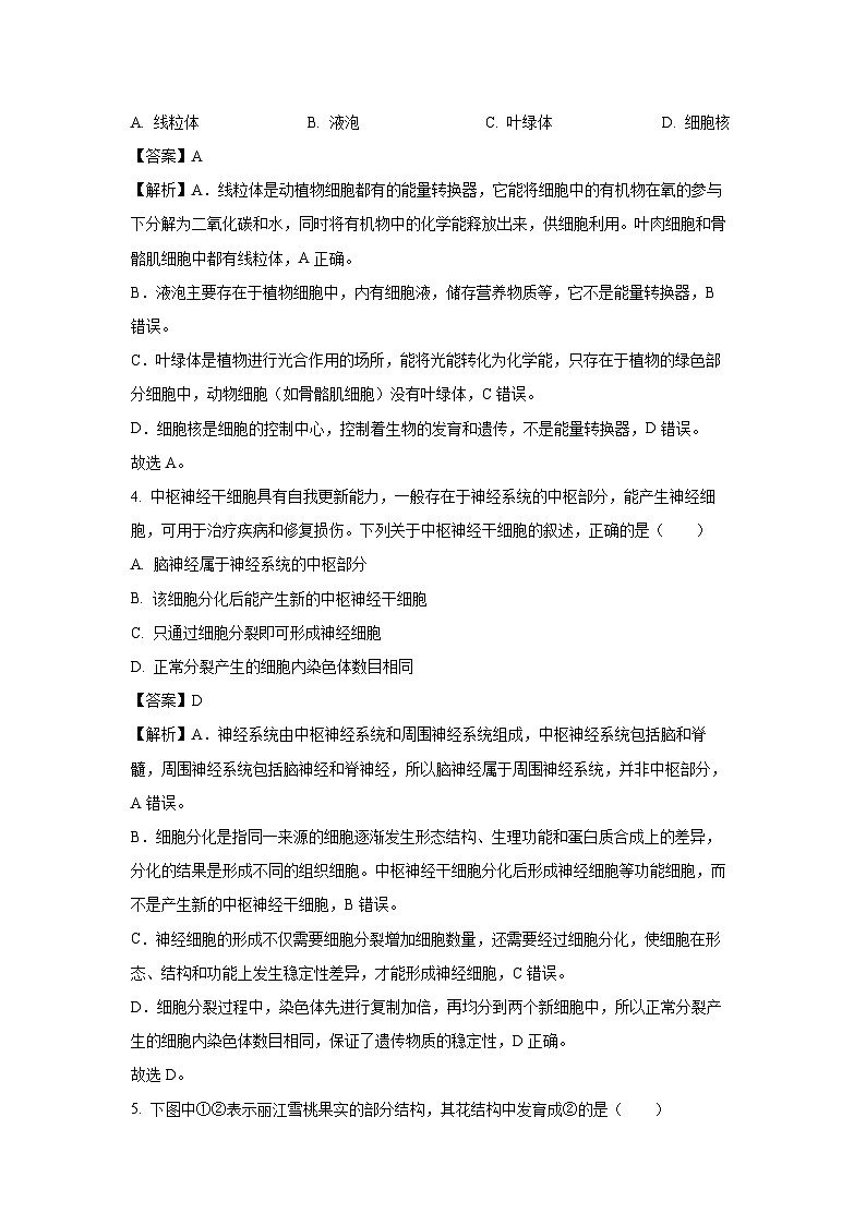 2025年四川省绵阳市安州八年级中考一模生物试题（解析版）第2页