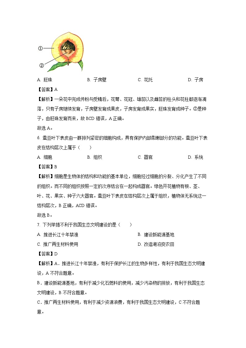 2025年四川省绵阳市安州八年级中考一模生物试题（解析版）第3页