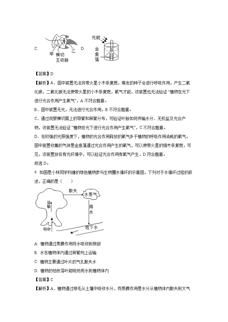 山西省晋中市介休市2024-2025学年七年级下学期期末生物试题（解析版）第3页