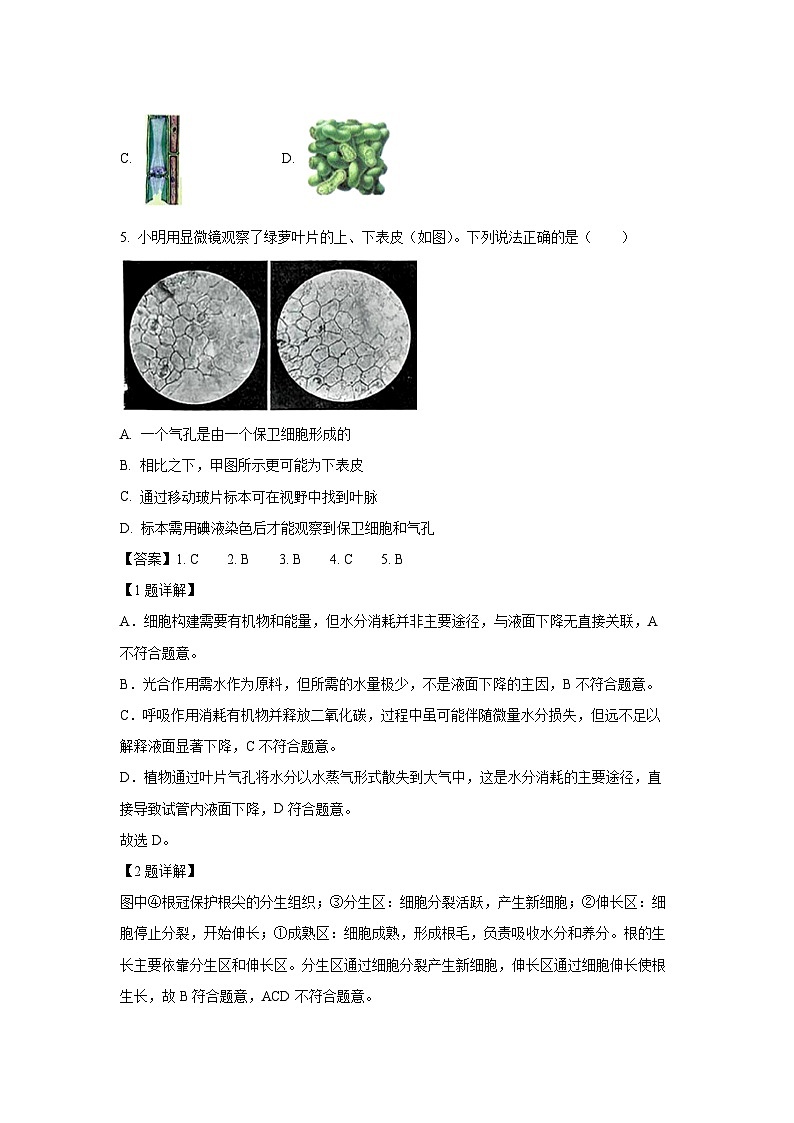 山西省太原市2024-2025学年七年级下学期期末生物试题（解析版）第2页