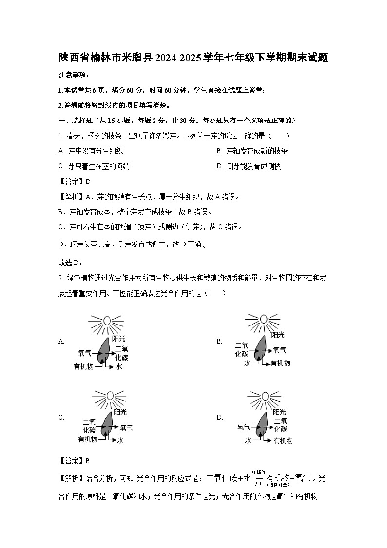 陕西省榆林市米脂县2024-2025学年七年级下学期期末生物试题（解析版）第1页