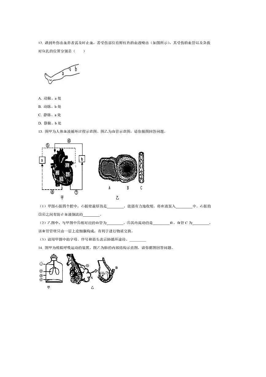 2024～2025学年辽宁省抚顺市顺城区七年级下期末生物试卷(含答案)第3页