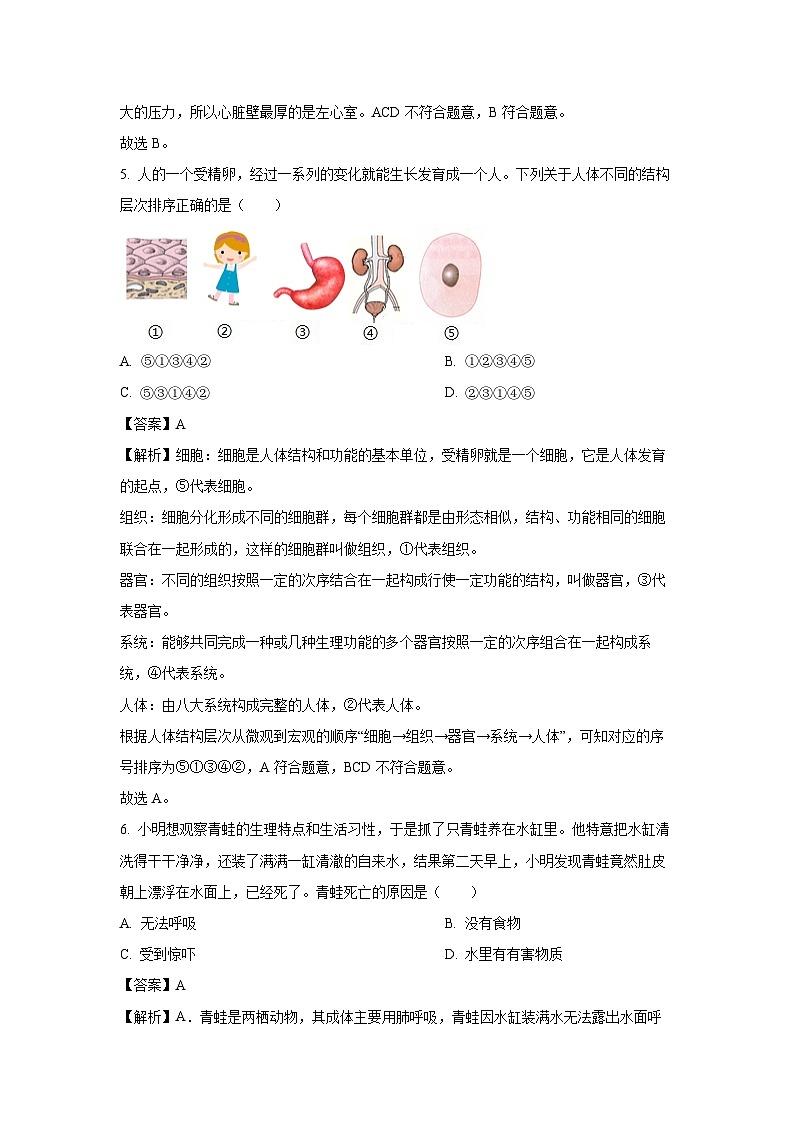 2025年江西省九江市修水县八年级模拟预测六生物试题（解析版）第3页