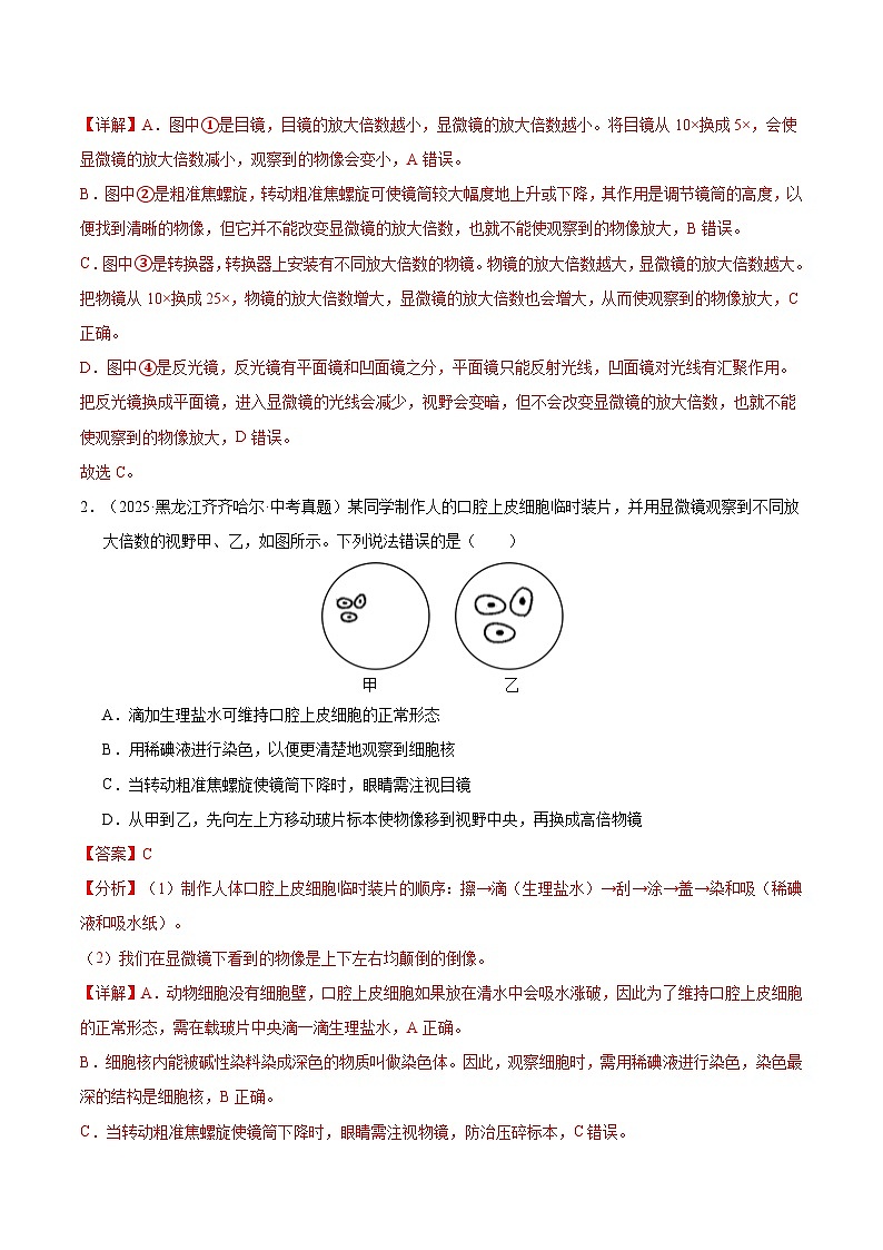 专题02 生物体的结构层次（全国通用）（解析版）【好题汇编】三年（2023-2025）中考生物真题分类汇编（全国通用）第2页