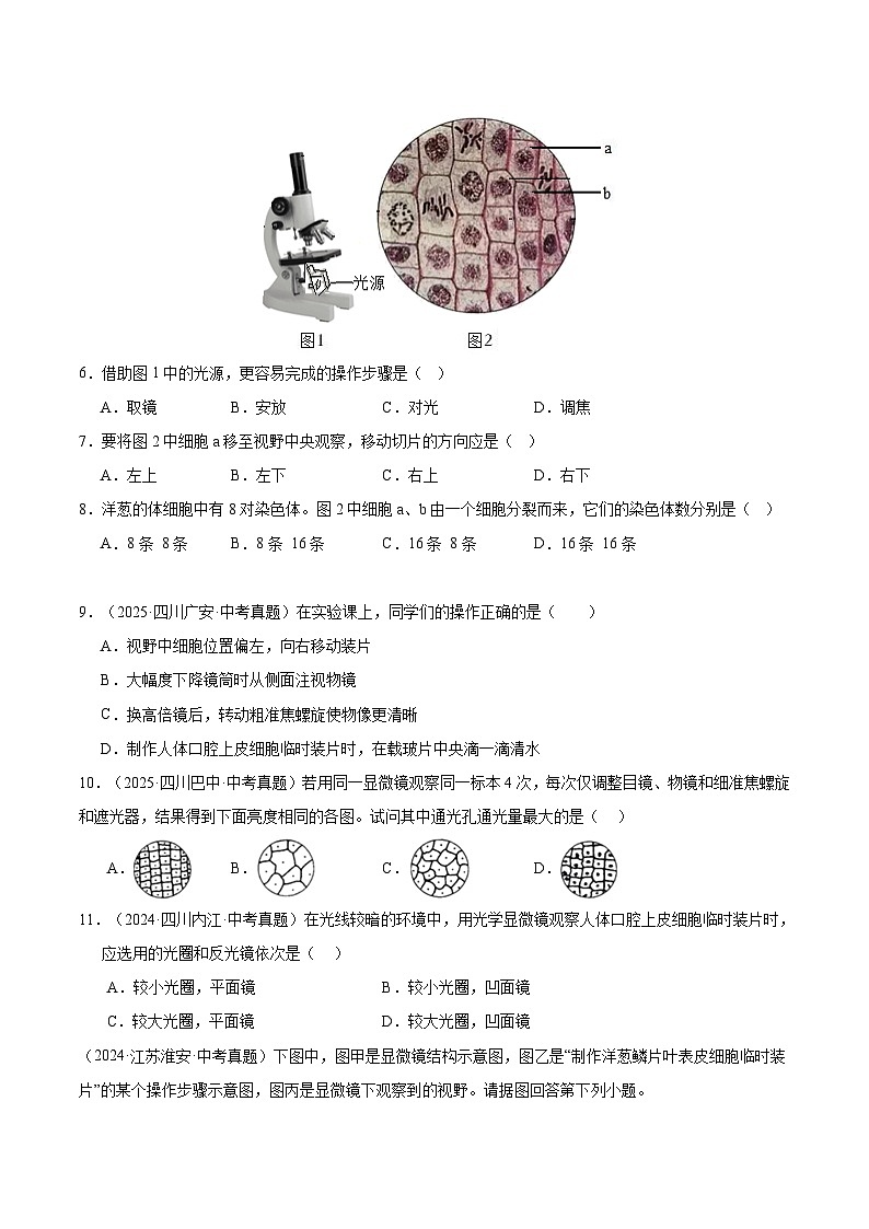 专题02 生物体的结构层次（全国通用）（原卷版）【好题汇编】三年（2023-2025）中考生物真题分类汇编（全国通用）第3页