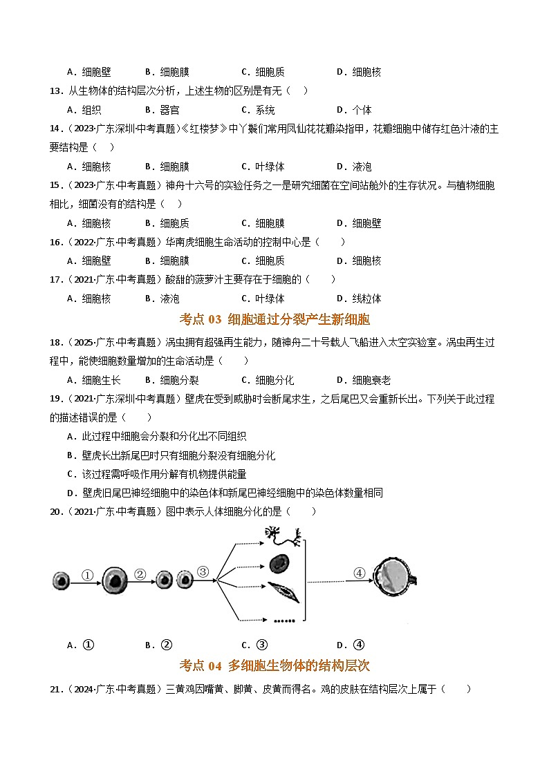 专题02 生物体的结构层次（广东专用） （原卷版）【好题汇编】5年（2021-2025）中考1年模拟生物真题分类汇编（广东专用）第3页