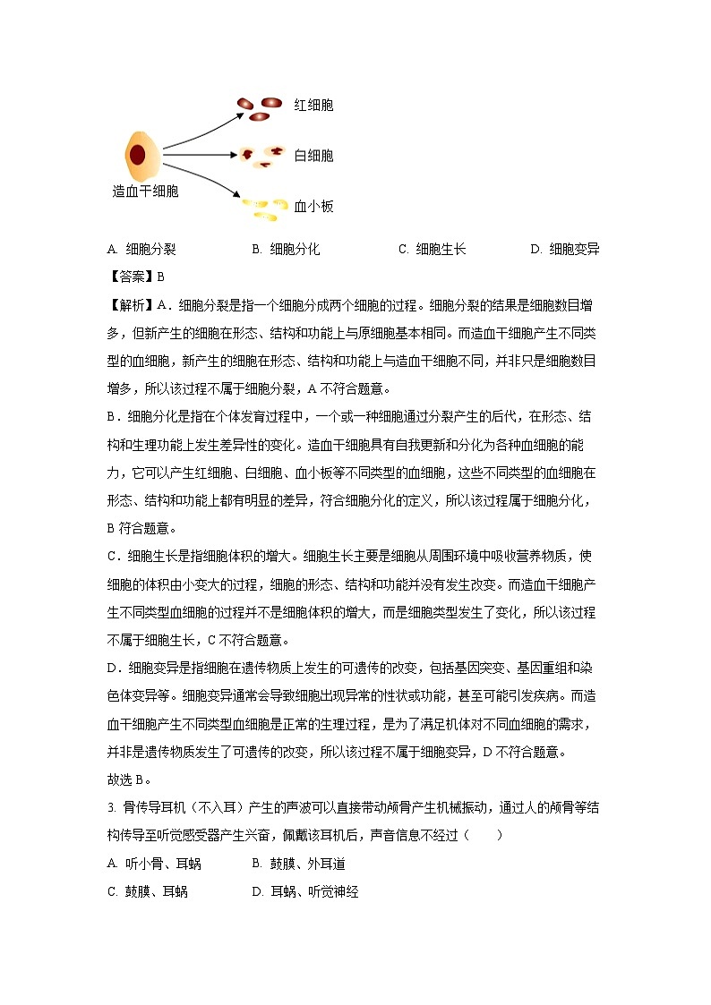 2025年安徽省滁州市明光市八年级中考三模试题生物试卷（解析版）第2页