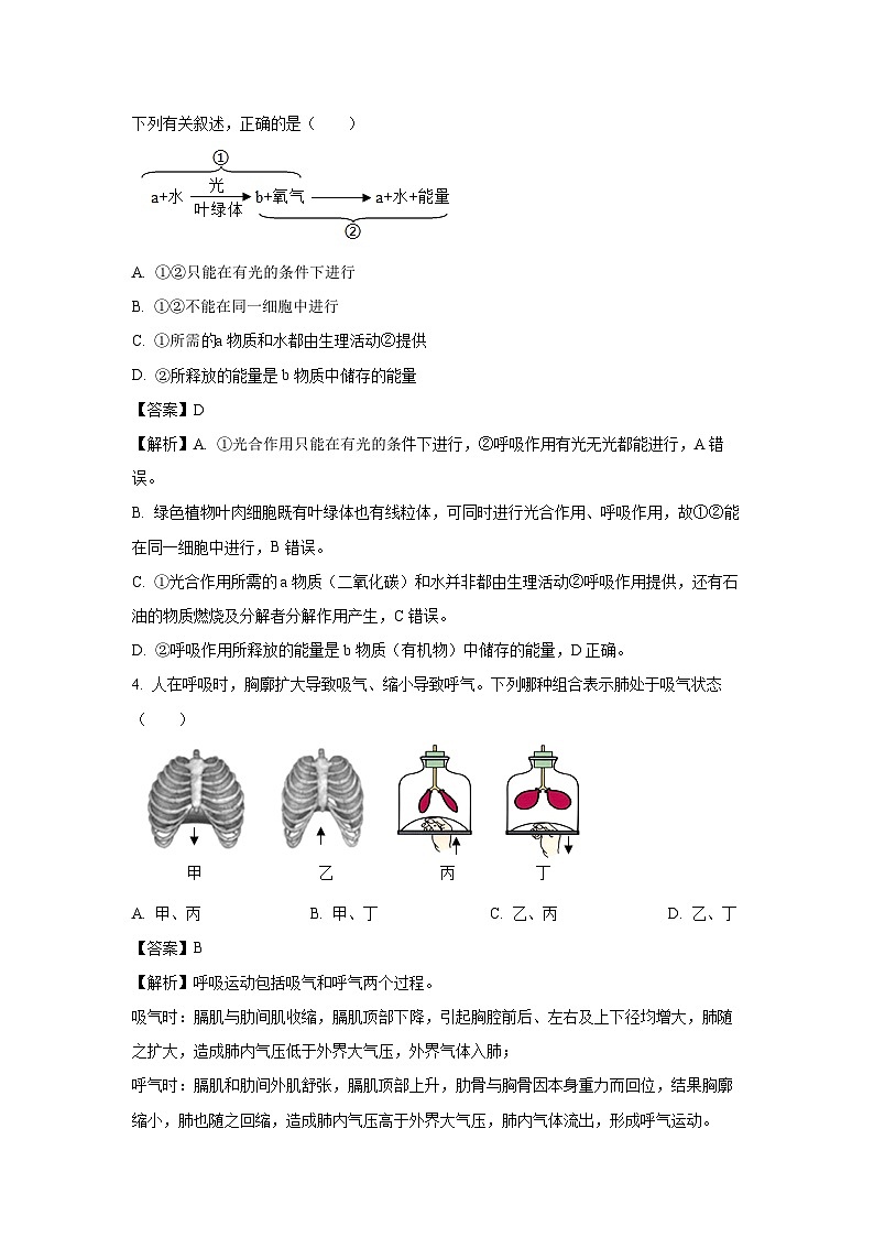 2025年安徽省滁州市南谯区八年级中考三模试题生物试卷（解析版）第2页