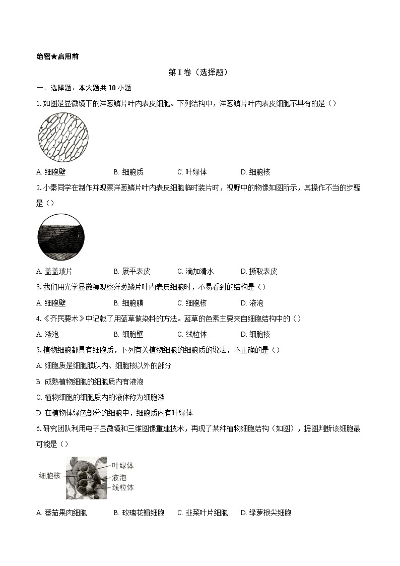 第一单元2.2 植物细胞 观察周边环境中的生物 同步练习（含解析）人教版（2024）初中生物学七年级上册第1页