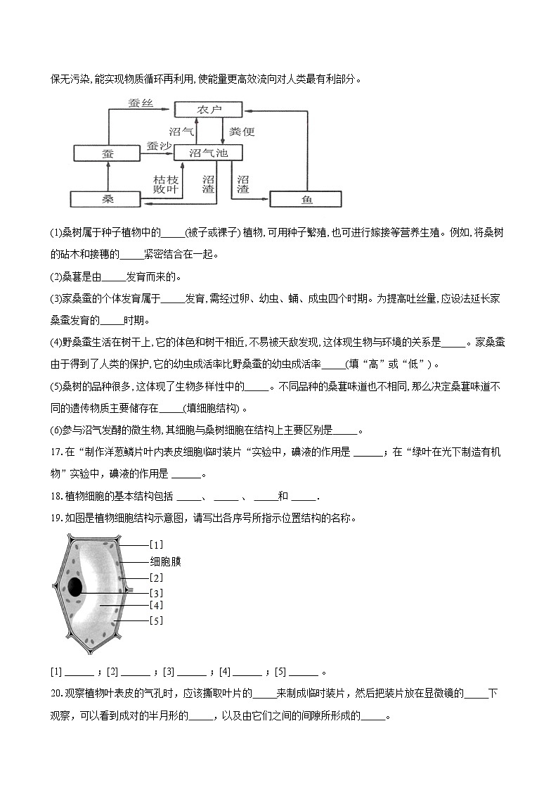 第一单元2.2 植物细胞 观察周边环境中的生物 同步练习（含解析）人教版（2024）初中生物学七年级上册第3页