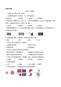 初中生物人教版（2024）七年级上册（2024）动物体的结构层次课后测评