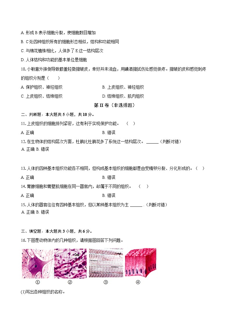 第一单元 3.2 动物体的结构层次   同步练习（含解析）人教版（2024）初中生物学七年级上册 (第2页