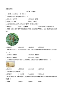 生物七年级上册（2024）植物体的结构层次课时训练