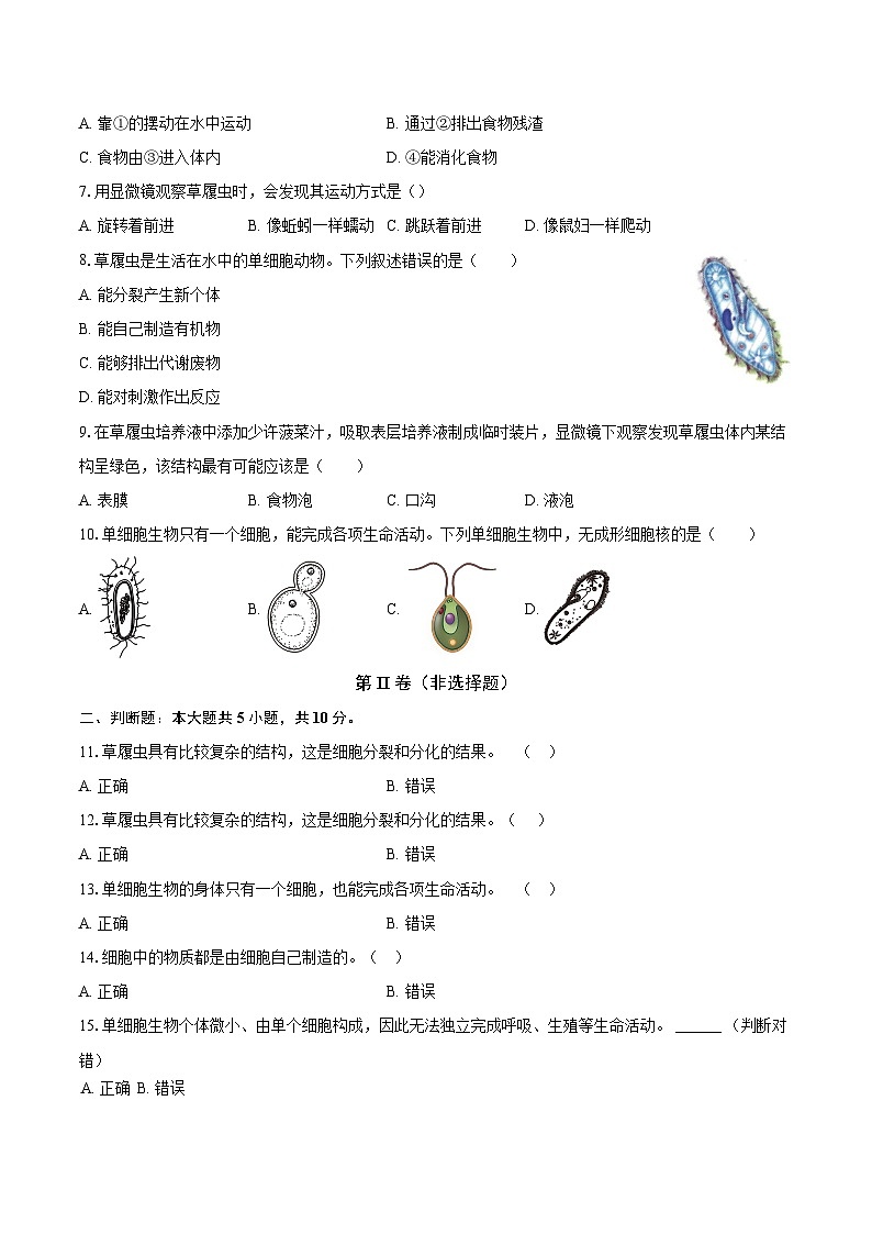 第一单元 3.4 单细胞生物  同步练习（含解析）人教版（2024）初中生物学七年级上册 (第2页