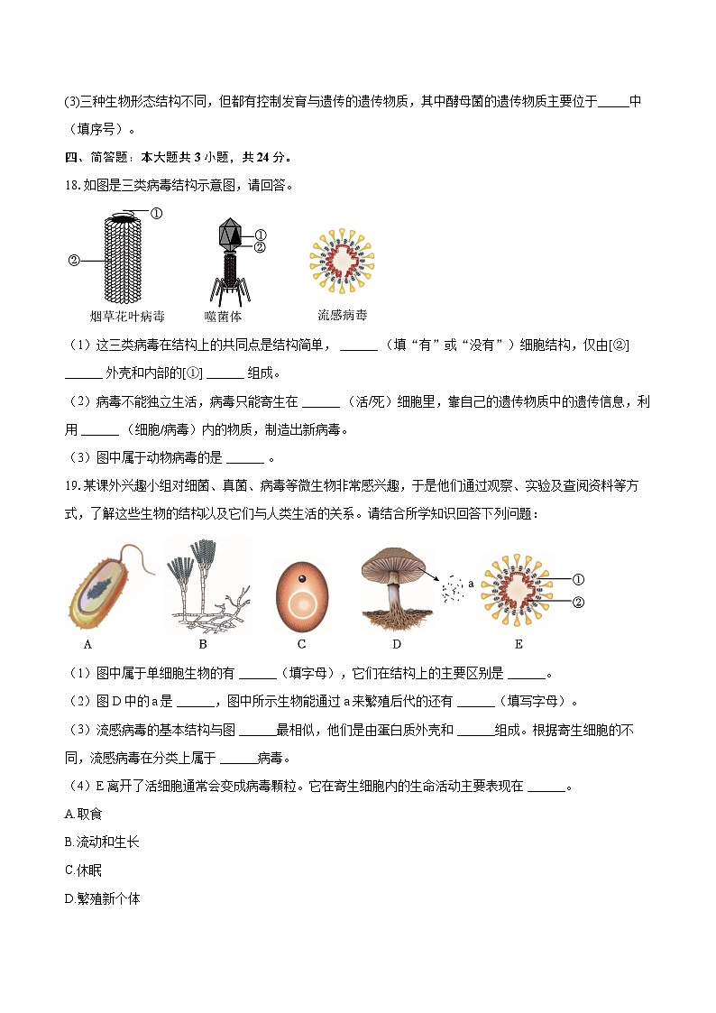 第二单元 3.4 病毒 同步练习（含解析）人教版（2024）初中生物学七年级上册第3页