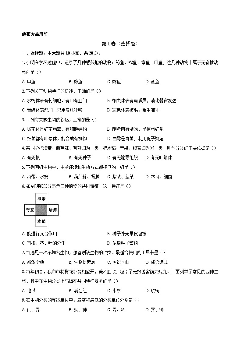第二单元 4.1 尝试对生物进行分类 同步练习（含解析）人教版（2024）初中生物学七年级上册第1页