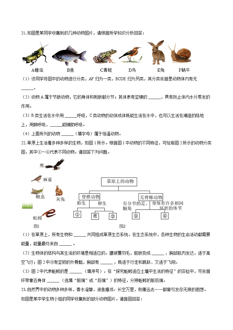 第二单元 4.1 尝试对生物进行分类 同步练习（含解析）人教版（2024）初中生物学七年级上册第3页