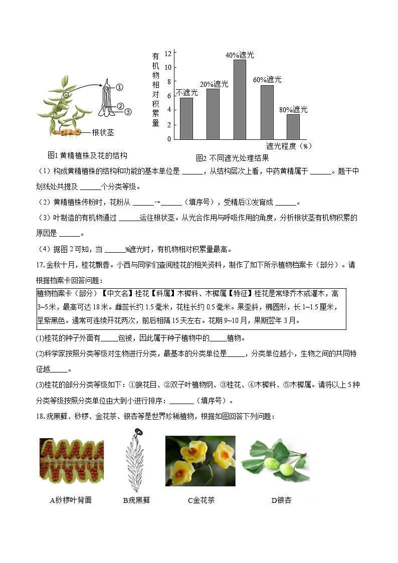 第二单元 4.2 从种到界 同步练习（含解析）人教版（2024）初中生物学七年级上册第3页