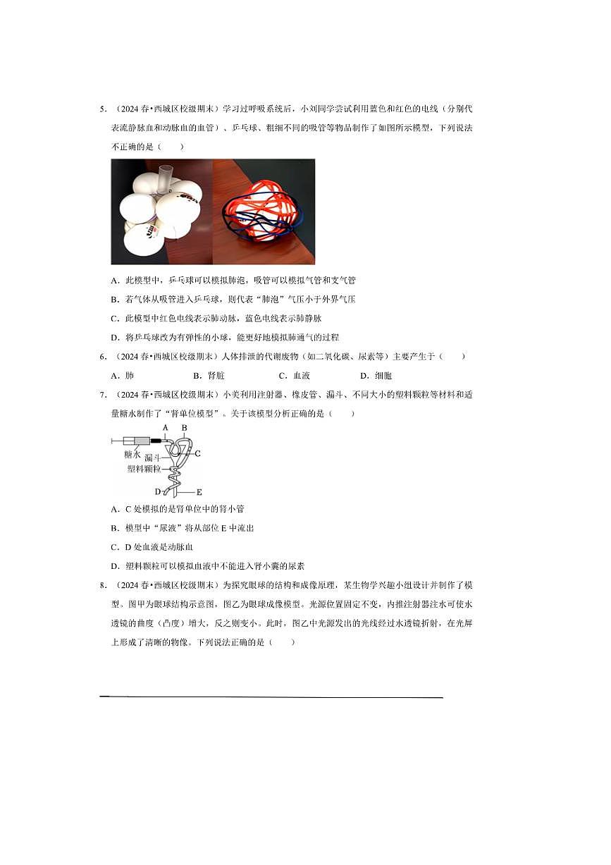 北京市2025～2026学年八年级上初中生物开学摸底考模拟练习人教版试卷(含解析)第2页