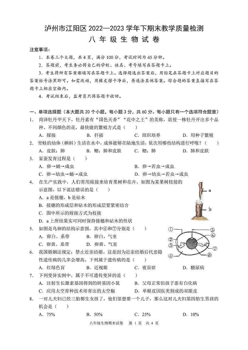 四川省泸州市江阳区2022-2023学年八年级下学期期末考试生物试题（原卷）第1页