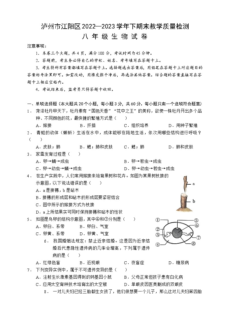 四川省泸州市江阳区2022-2023学年八年级下学期期末考试生物试题（试卷）第1页