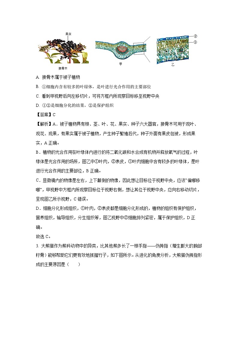 2025年内蒙古包头市昆都仑区中考二模生物试题（解析版）第2页