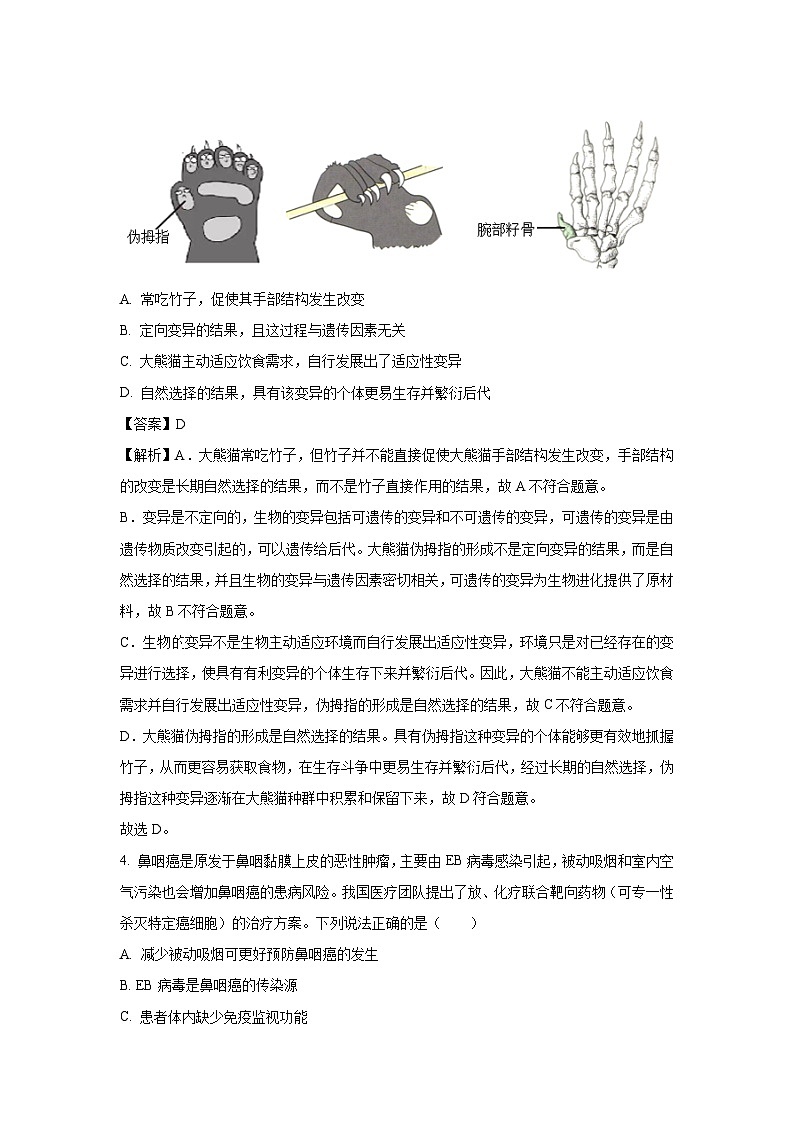 2025年内蒙古包头市昆都仑区中考二模生物试题（解析版）第3页