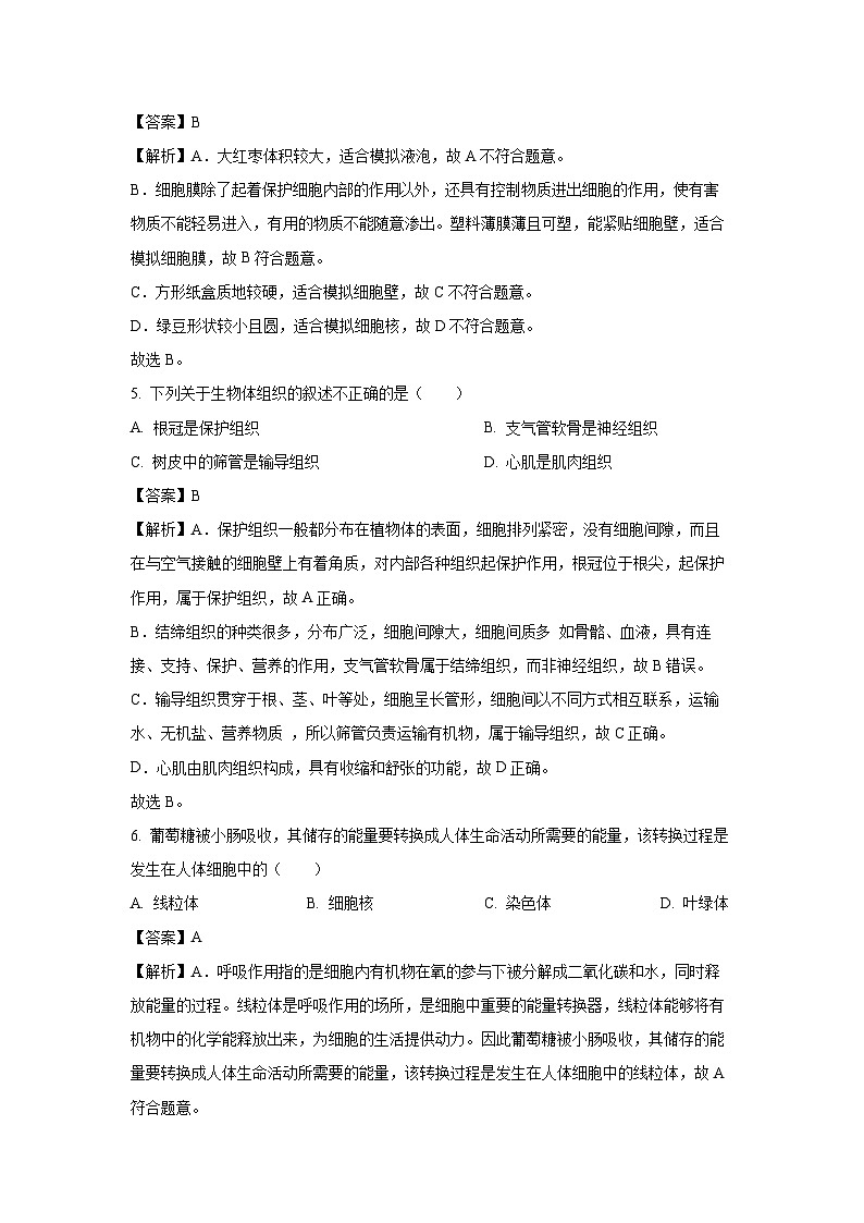 广东省广州市2024-2025学年七年级下学期期末生物试题（解析版）第3页