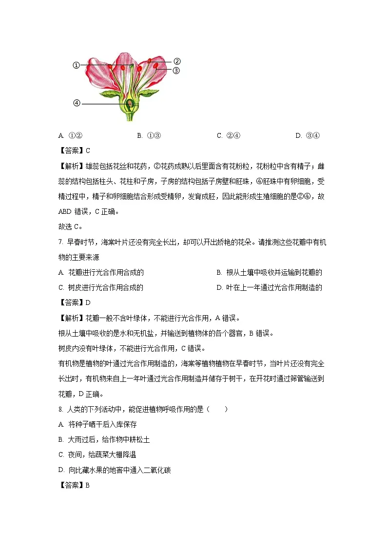广东省汕头市潮南区2024-2025学年七年级下学期期末生物试题（解析版）第3页