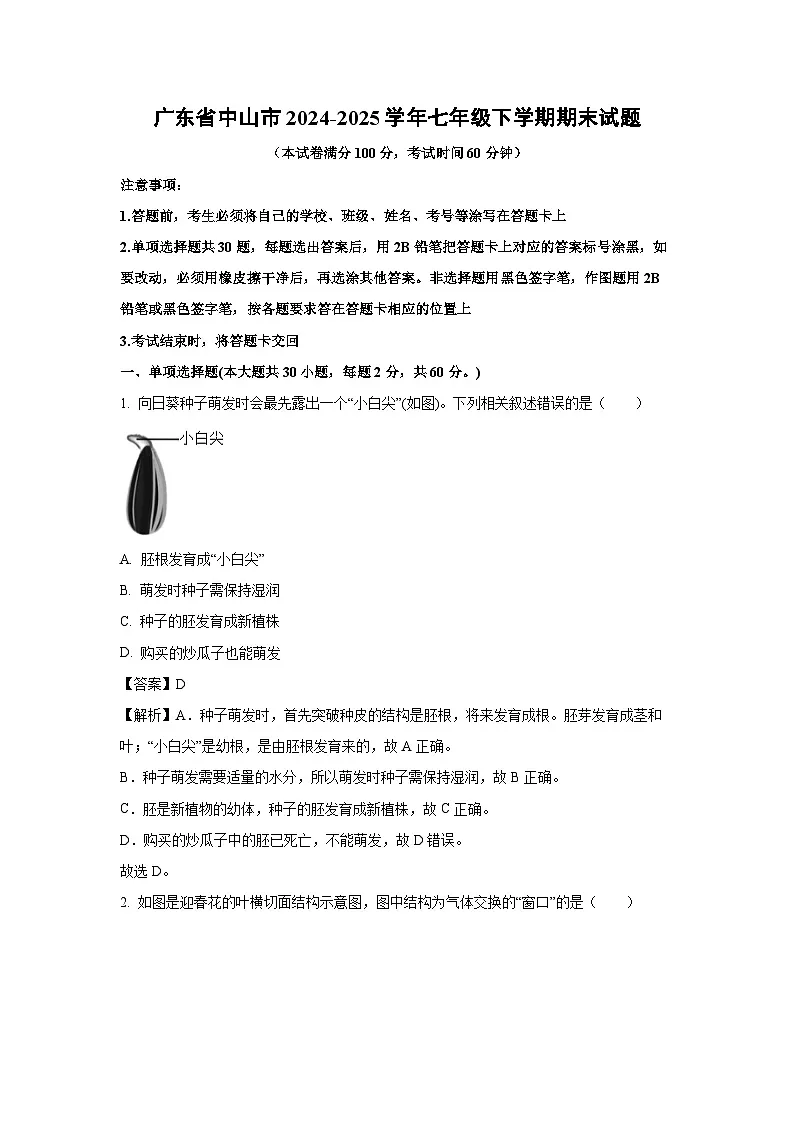 广东省中山市2024-2025学年七年级下学期期末生物试题（解析版）第1页