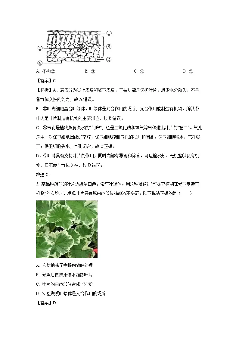 广东省中山市2024-2025学年七年级下学期期末生物试题（解析版）第2页