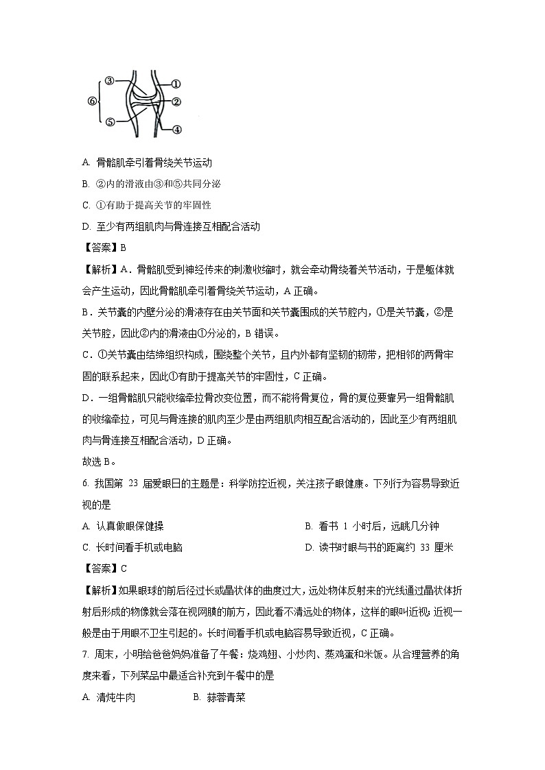 海南省儋州市2024-2025学年七年级下学期期末生物试题（解析版）第3页