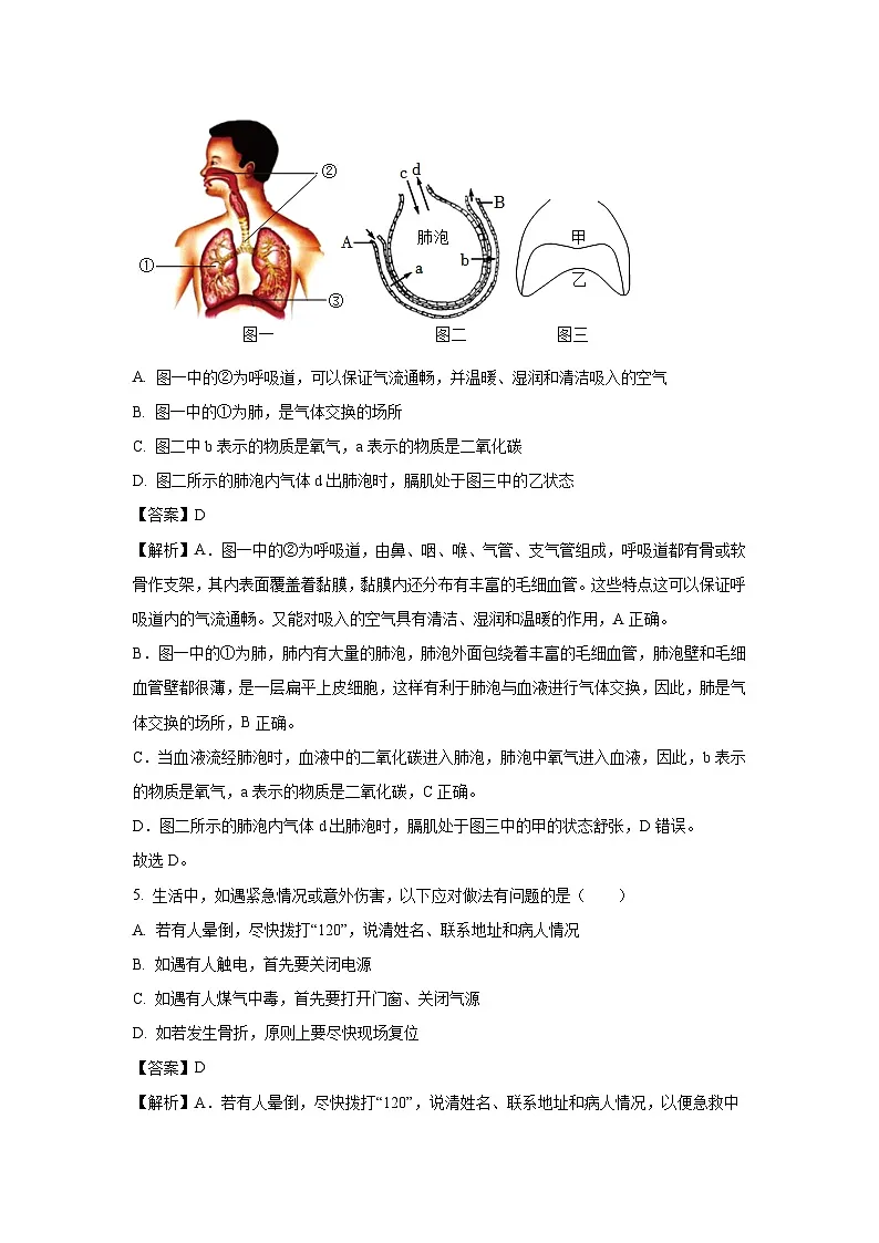 河北省石家庄市栾城区2024-2025学年七年级下学期期末生物试题（解析版）第3页