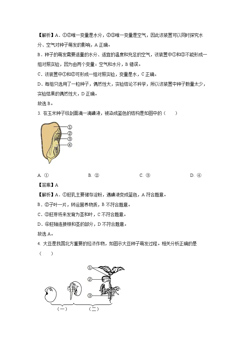 山东省日照市岚山区2024-2025学年七年级下学期期末生物试题（解析版）第2页