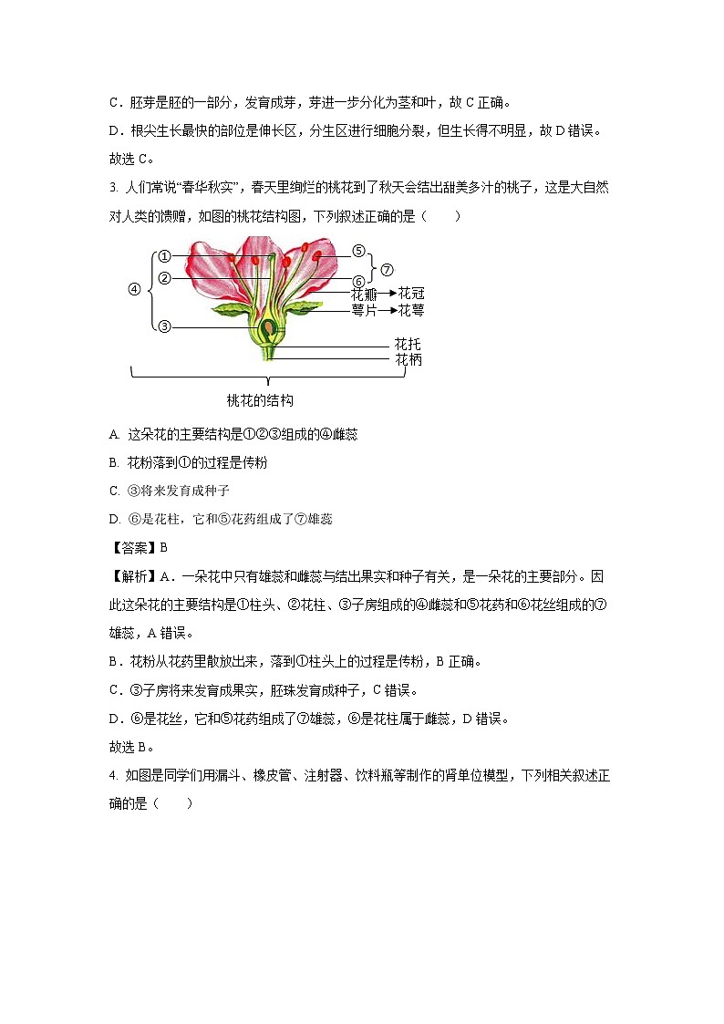 山西省临汾市侯马市2024-2025学年七年级下学期期末生物试题（解析版）第2页