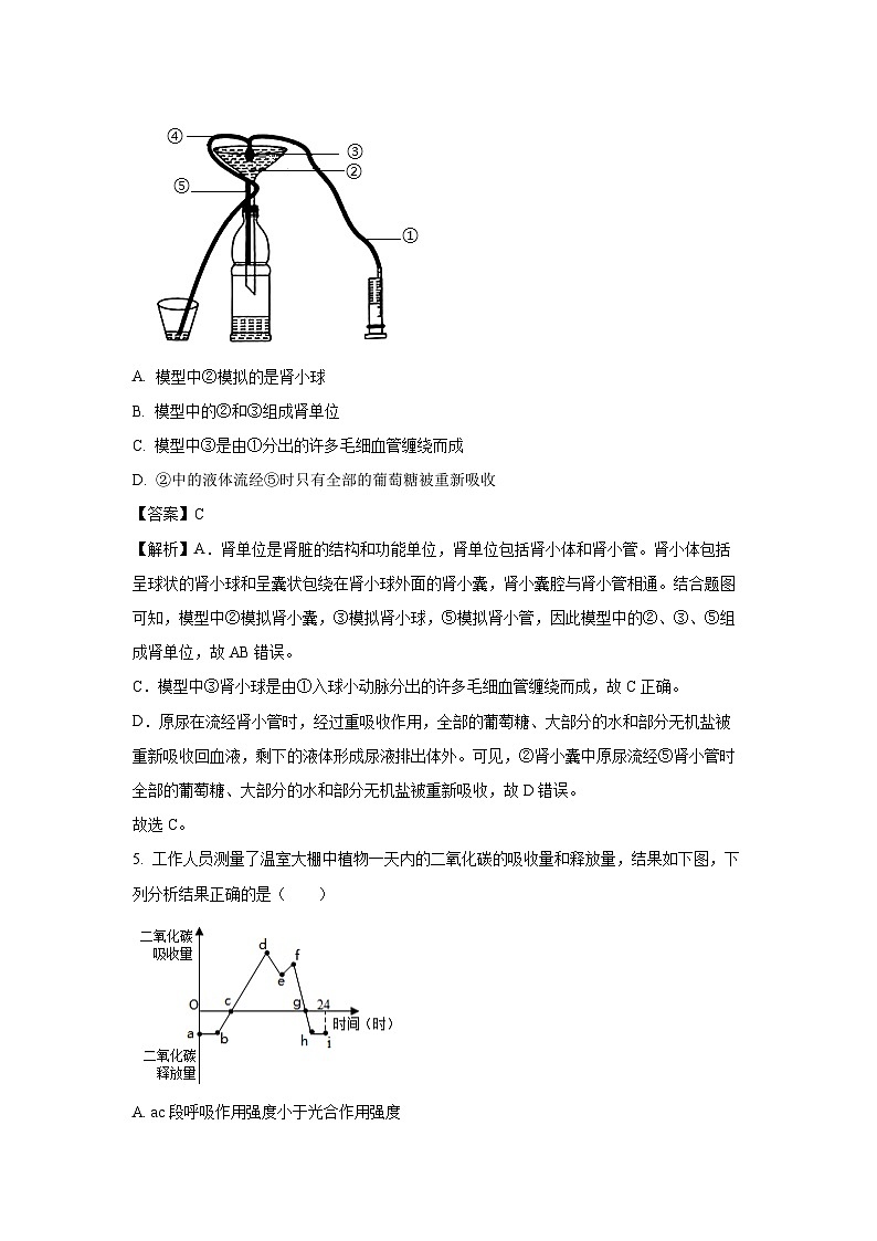 山西省临汾市侯马市2024-2025学年七年级下学期期末生物试题（解析版）第3页