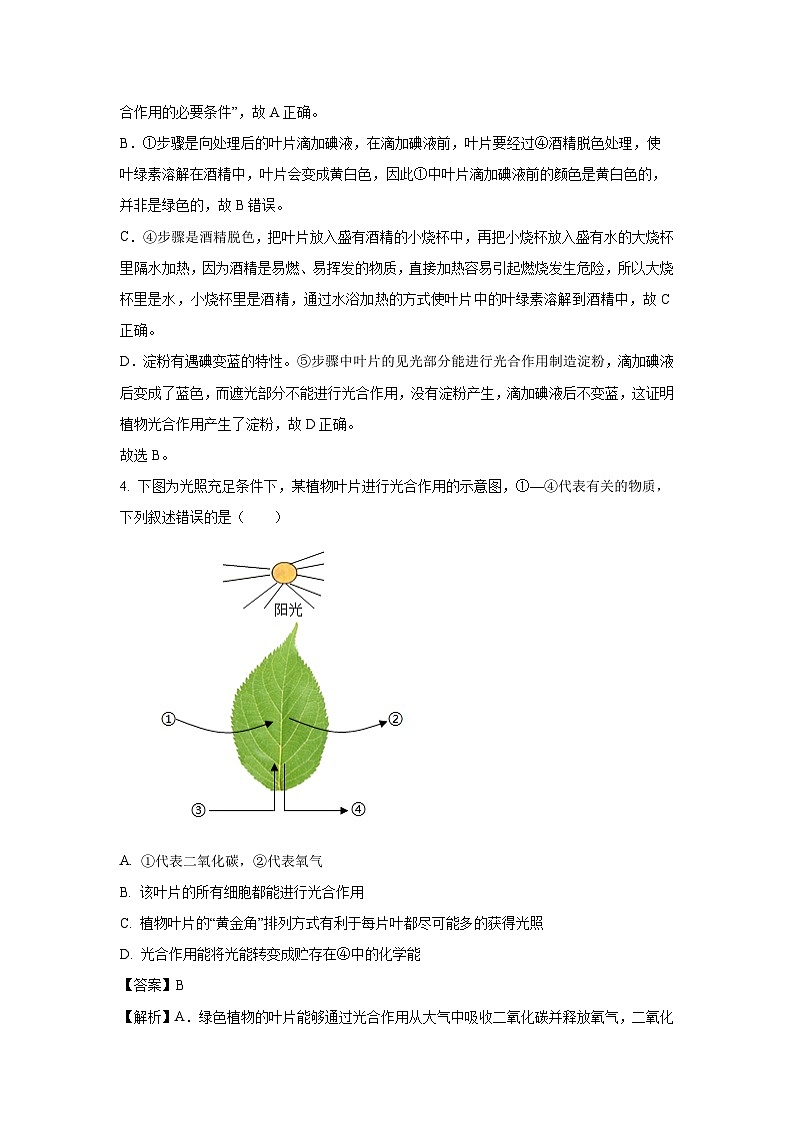 四川省广安市广安区2024--2025学年七年级下学期期末生物试题（解析版）第3页