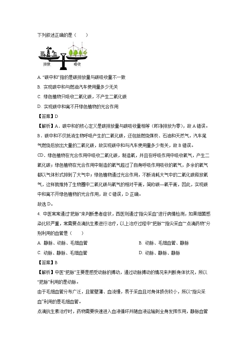 四川省凉山州2024-2025学年七年级下学期期末生物试题（解析版）第2页
