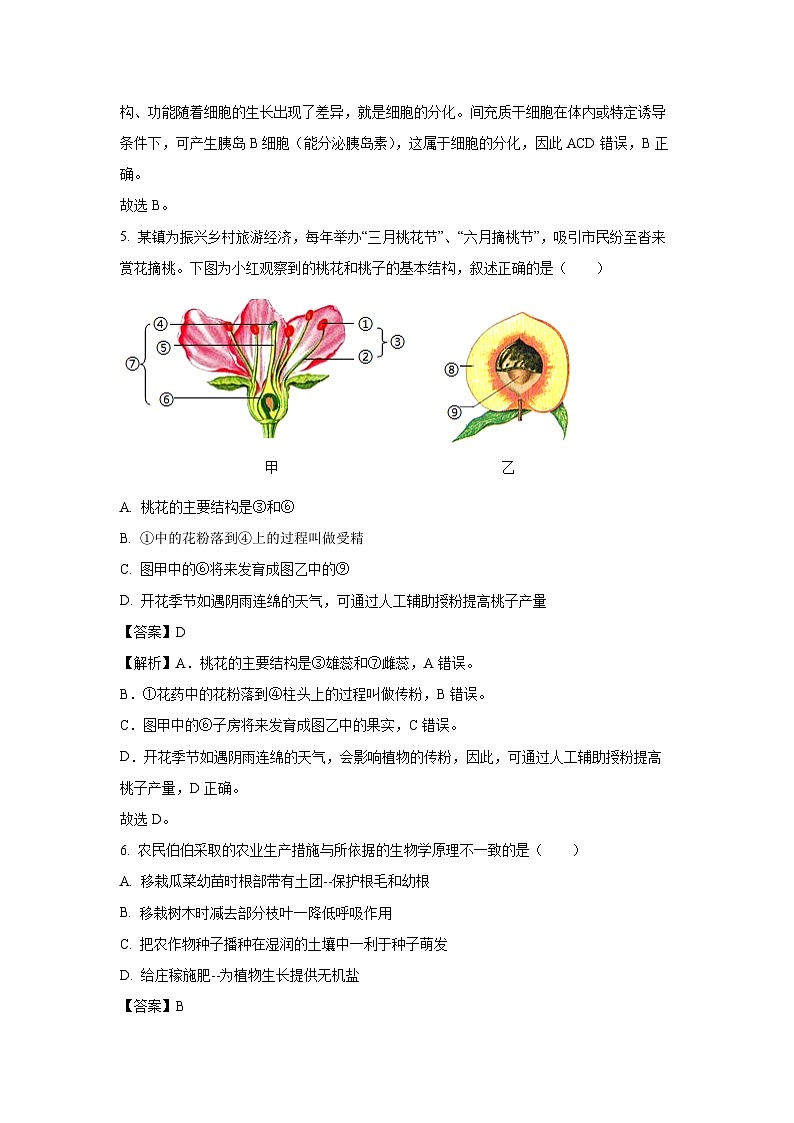 2025年甘肃省定西市安定区城区八年级中考三模生物试题（解析版）第3页