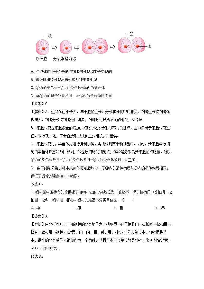 2025年广西壮族自治区贺州市昭平县中考三模生物试题（解析版）第2页
