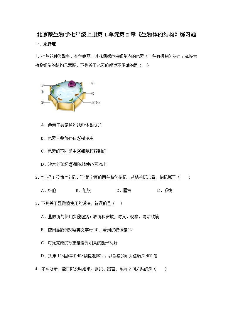1.2《生物体的结构》练习题（含答案）生物北京版（2024）七年级上册第1页