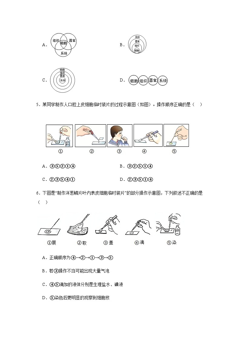 1.2《生物体的结构》练习题（含答案）生物北京版（2024）七年级上册第2页
