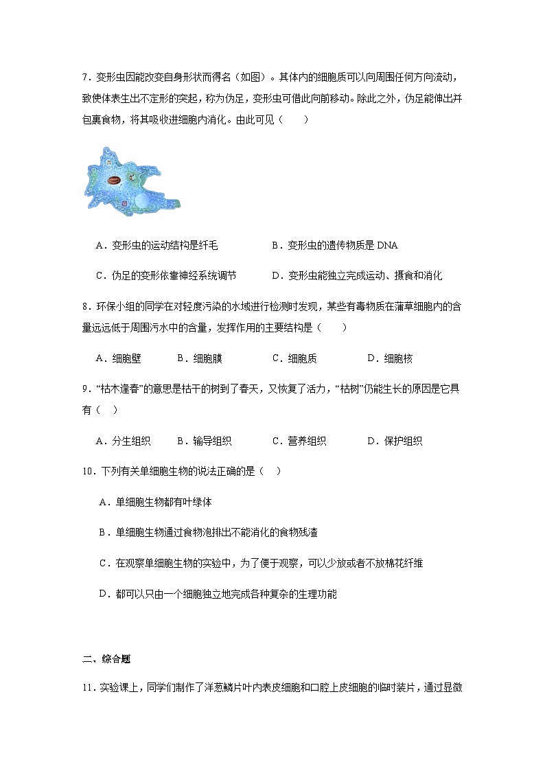 1.2《生物体的结构》练习题（含答案）生物北京版（2024）七年级上册第3页