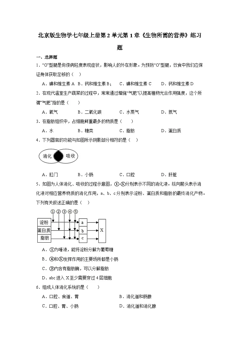 2.1《生物所需的营养》练习题（含答案）生物北京版（2024）七年级上册第1页
